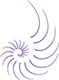 The Nautilus Maldives Logo